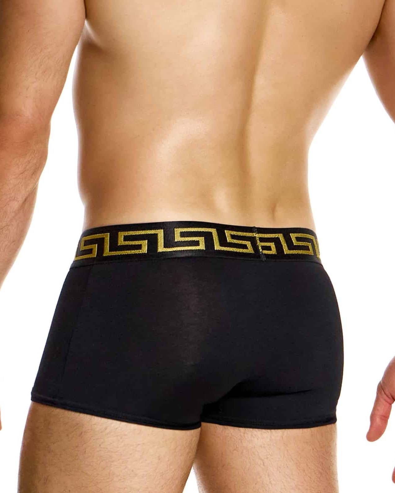 Modus Vivendi Meander Boxer Black, back