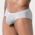 Latin Brief
